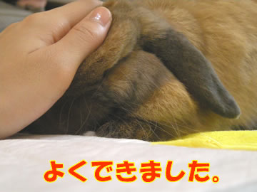 おりこうだね!