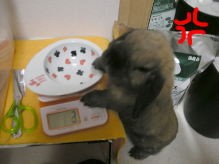 催促4