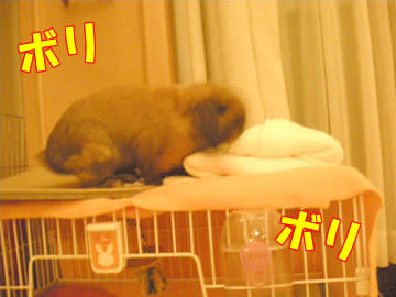 今夜も絶好調