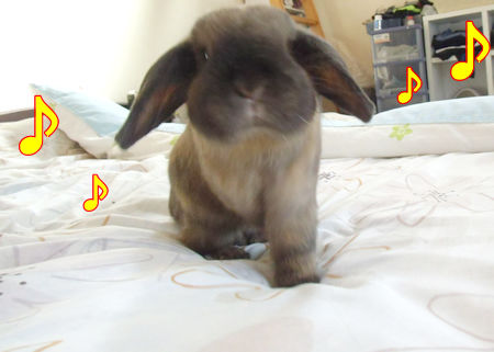 ���Ĥˤ�1