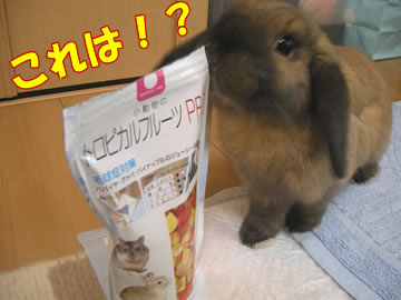 フルーツのにおいだっ