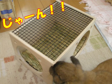 おうちだ!