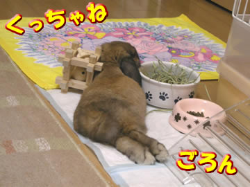 ゴロゴロらぶ太