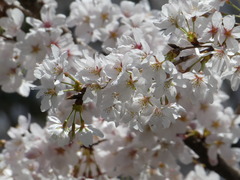 P1020479