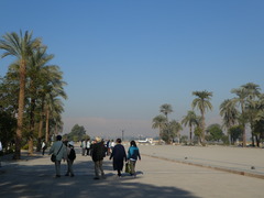 P1000325