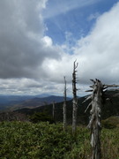 P1050867