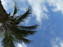 P1060378