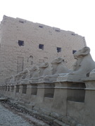 P1000349