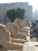 P1000339