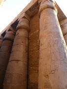 P1000530