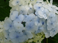 P1170820