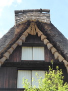 P1190051