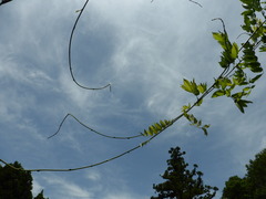 P1170570