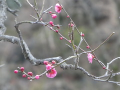 P1020186