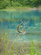 P1170712