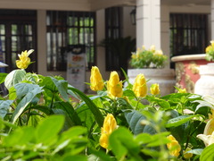 P1120980