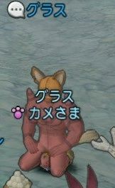 IMG_-oqerym