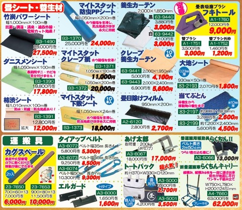 20181112JASDAQSALE7