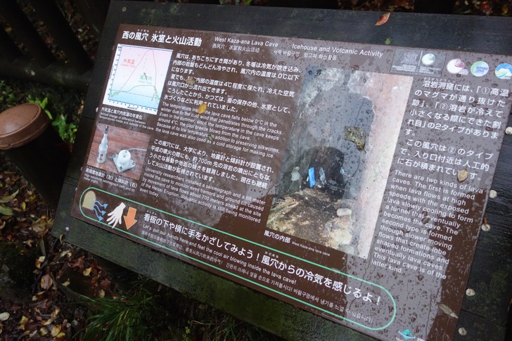 雲仙岳 西の風穴