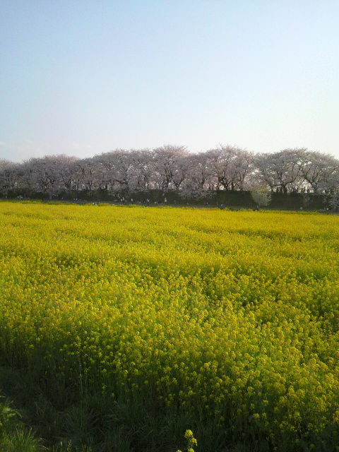 2009040716280000