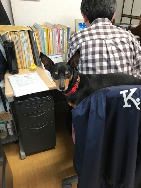 ぶちょお180307