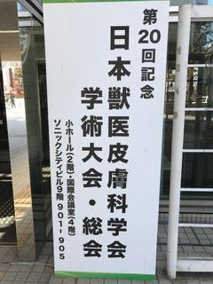 日本獣医皮膚科学会