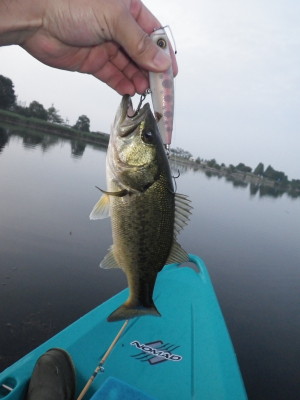 IMGP0202