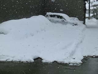 120218