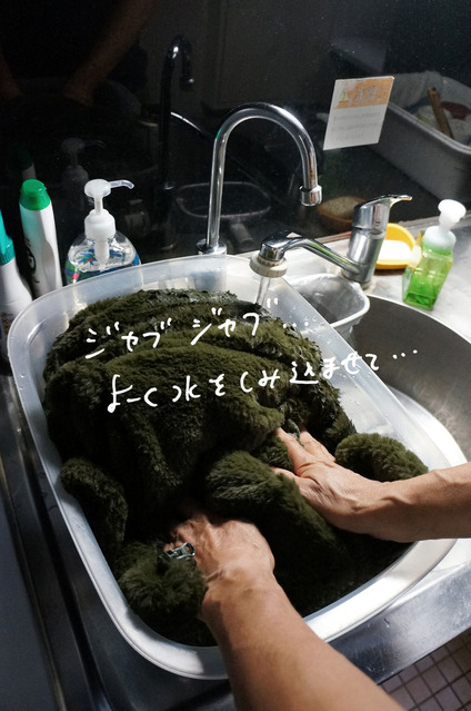 ¢