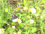 IMG_7501ij¡¹