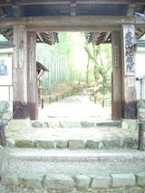 地蔵院 竹の寺 嵐山 細川頼之 細川前首相 細川護煕