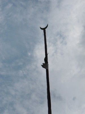 IMG_0187