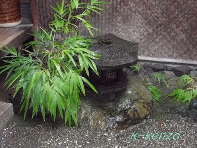 DSCN2037-20180709