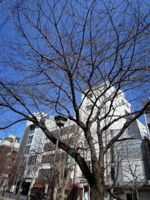 DSCN0130