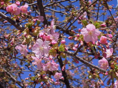 DSCN0182