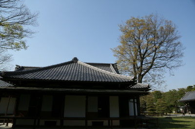 5C8C0620