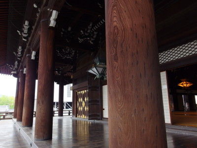 IMGP0294