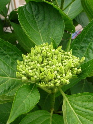 R0011228