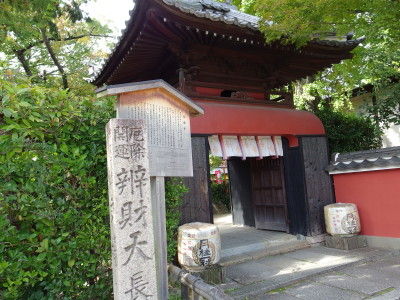 IMGP1802