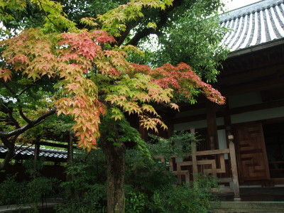 DSCF0576