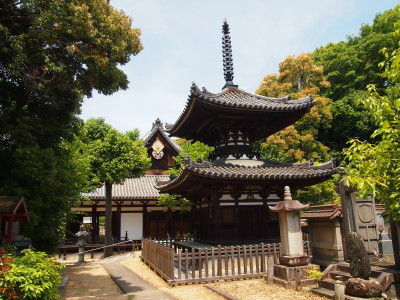 P5063720