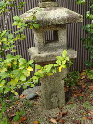 IMGP1815