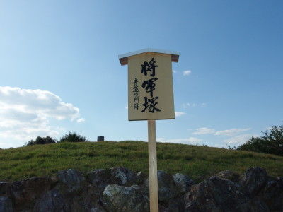 IMGP1535