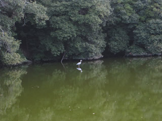 Íò»³¤ÎÄ»3