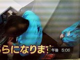 a0aa46fc.jpg