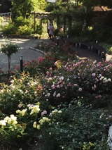b33782b0.jpg