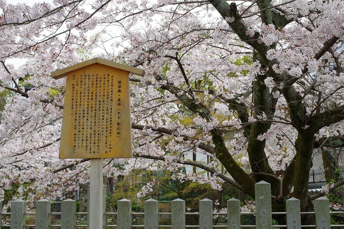 IMGP0182