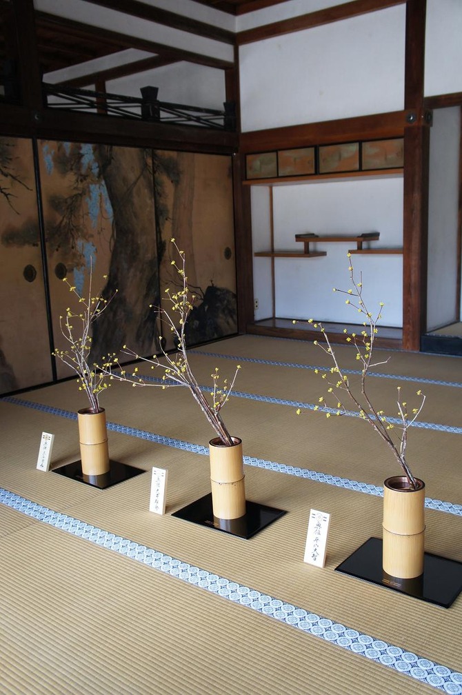 仁和寺3