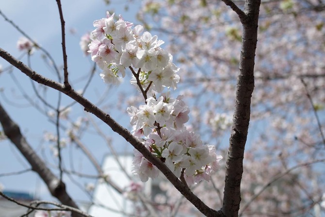 IMGP0537