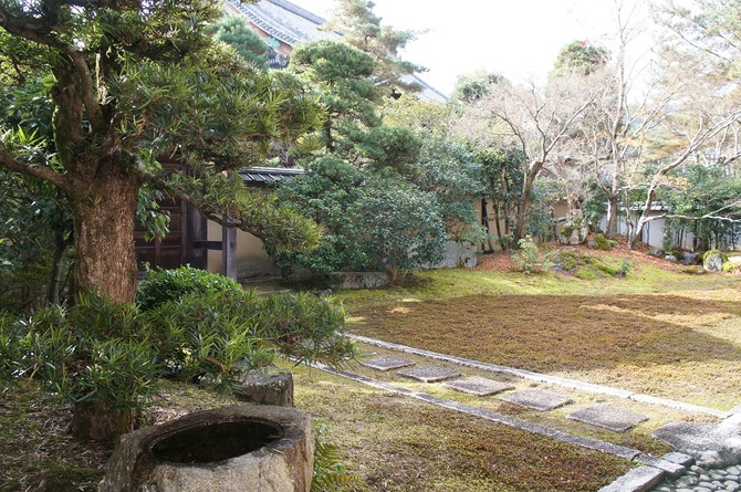 DSC05087